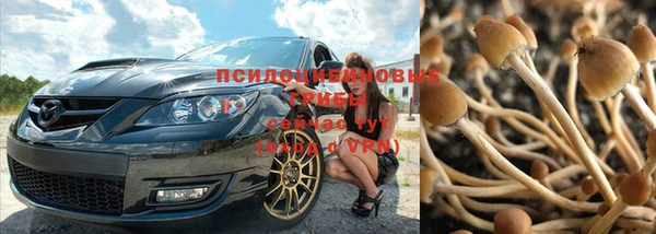 молекула духа Верея