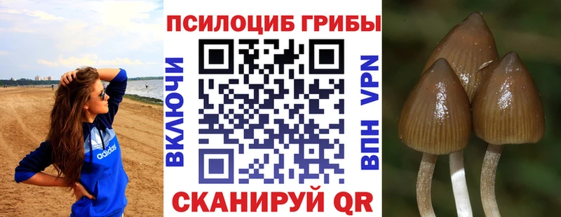 Псилоцибиновые грибы мухоморы  Купить  Вязники 